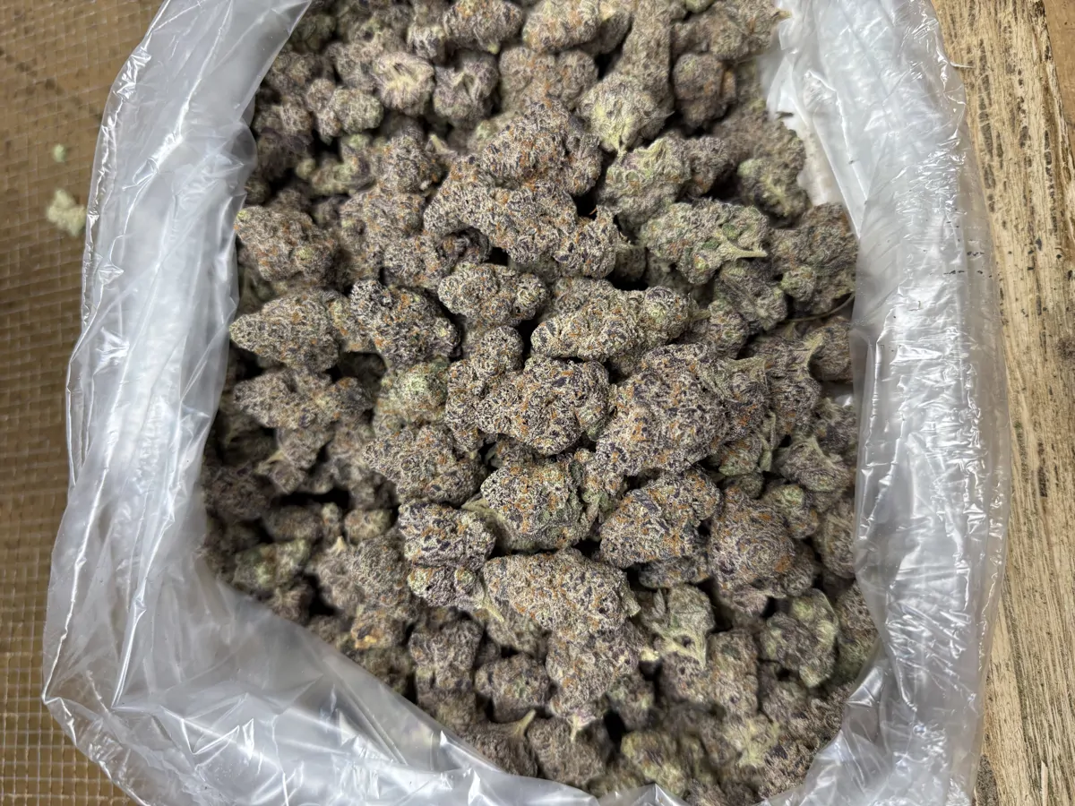 Glitter Bomb Flower